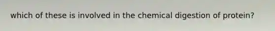 which of these is involved in the chemical digestion of protein?