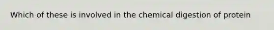 Which of these is involved in the chemical digestion of protein