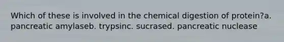 Which of these is involved in the chemical digestion of protein?a. pancreatic amylaseb. trypsinc. sucrased. pancreatic nuclease