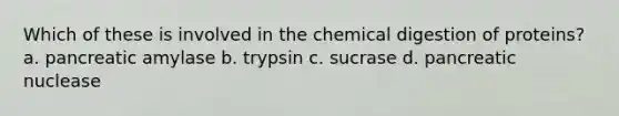 Which of these is involved in the chemical digestion of proteins? a. pancreatic amylase b. trypsin c. sucrase d. pancreatic nuclease