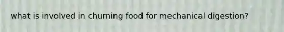 what is involved in churning food for mechanical digestion?