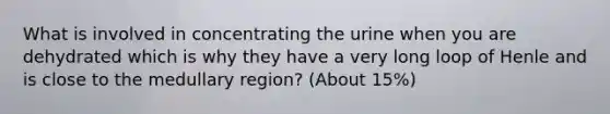 What is involved in concentrating the urine when you are dehydrated which is why they have a very long loop of Henle and is close to the medullary region? (About 15%)