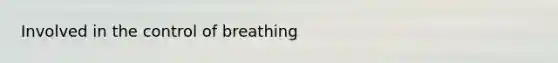 Involved in the control of breathing