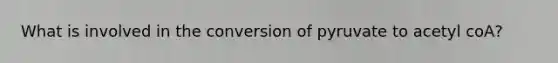 What is involved in the conversion of pyruvate to acetyl coA?