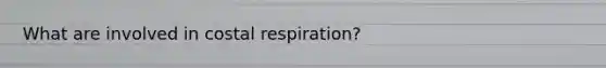 What are involved in costal respiration?