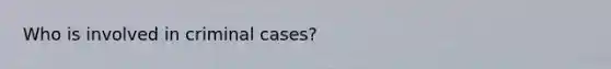 Who is involved in criminal cases?