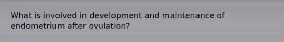 What is involved in development and maintenance of endometrium after ovulation?