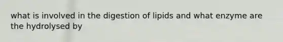 what is involved in the digestion of lipids and what enzyme are the hydrolysed by