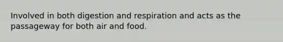 Involved in both digestion and respiration and acts as the passageway for both air and food.