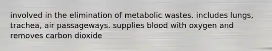 involved in the elimination of metabolic wastes. includes lungs, trachea, air passageways. supplies blood with oxygen and removes carbon dioxide