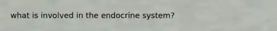 what is involved in the endocrine system?