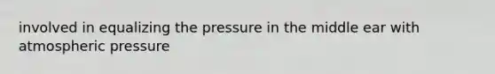 involved in equalizing the pressure in the middle ear with atmospheric pressure