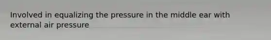 Involved in equalizing the pressure in the middle ear with external air pressure