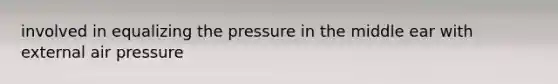 involved in equalizing the pressure in the middle ear with external air pressure