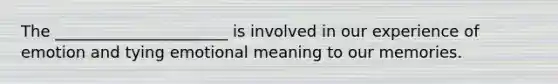 The ______________________ is involved in our experience of emotion and tying emotional meaning to our memories.