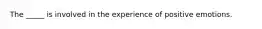 The _____ is involved in the experience of positive emotions.