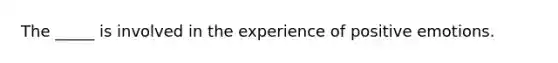 The _____ is involved in the experience of positive emotions.