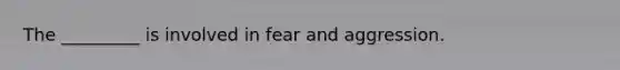 The _________ is involved in fear and aggression.