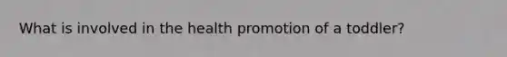 What is involved in the health promotion of a toddler?