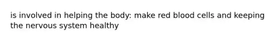 is involved in helping the body: make red blood cells and keeping the nervous system healthy