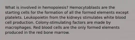 What is involved in hemopoiesis? Hemocytoblasts are the starting cells for the formation of all the formed elements except platelets. Leukopoietin from the kidneys stimulates white blood cell production. Colony-stimulating factors are made by macrophages. Red blood cells are the only formed elements produced in the red bone marrow.