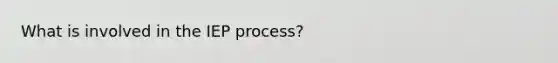 What is involved in the IEP process?