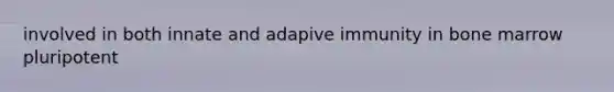 involved in both innate and adapive immunity in bone marrow pluripotent