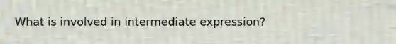 What is involved in intermediate expression?