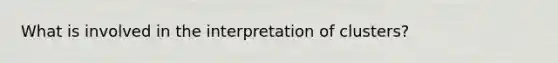 What is involved in the interpretation of clusters?