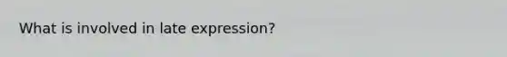 What is involved in late expression?