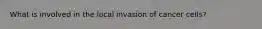 What is involved in the local invasion of cancer cells?
