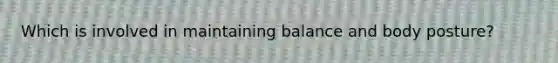 Which is involved in maintaining balance and body posture?
