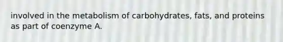 involved in the metabolism of carbohydrates, fats, and proteins as part of coenzyme A.