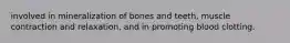 involved in mineralization of bones and teeth, muscle contraction and relaxation, and in promoting blood clotting.