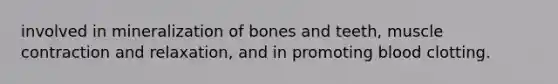 involved in mineralization of bones and teeth, muscle contraction and relaxation, and in promoting blood clotting.