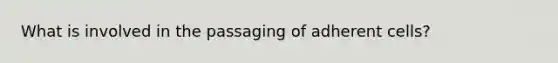 What is involved in the passaging of adherent cells?