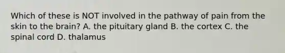 Which of these is NOT involved in the pathway of pain from the skin to the brain? A. the pituitary gland B. the cortex C. the spinal cord D. thalamus