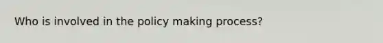 Who is involved in the policy making process?