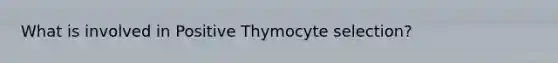 What is involved in Positive Thymocyte selection?