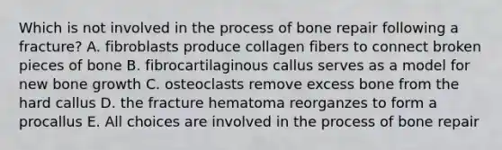 Which is not involved in the process of bone repair following a fracture? A. fibroblasts produce collagen fibers to connect broken pieces of bone B. fibrocartilaginous callus serves as a model for new bone growth C. osteoclasts remove excess bone from the hard callus D. the fracture hematoma reorganzes to form a procallus E. All choices are involved in the process of bone repair