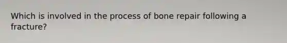 Which is involved in the process of bone repair following a fracture?