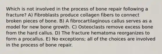 Which is not involved in the process of bone repair following a fracture? A) Fibroblasts produce collagen fibers to connect broken pieces of bone. B) A fibrocartilaginous callus serves as a model for new bone growth. C) Osteoclasts remove excess bone from the hard callus. D) The fracture hematoma reorganizes to form a procallus. E) No exceptions; all of the choices are involved in the process of bone repair.