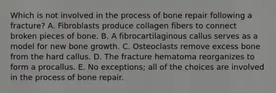 Which is not involved in the process of bone repair following a fracture? A. Fibroblasts produce collagen fibers to connect broken pieces of bone. B. A fibrocartilaginous callus serves as a model for new bone growth. C. Osteoclasts remove excess bone from the hard callus. D. The fracture hematoma reorganizes to form a procallus. E. No exceptions; all of the choices are involved in the process of bone repair.