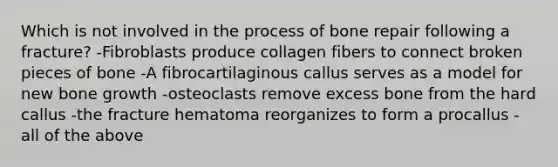 Which is not involved in the process of bone repair following a fracture? -Fibroblasts produce collagen fibers to connect broken pieces of bone -A fibrocartilaginous callus serves as a model for new bone growth -osteoclasts remove excess bone from the hard callus -the fracture hematoma reorganizes to form a procallus -all of the above