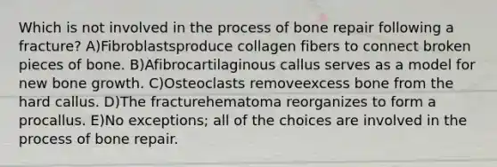 Which is not involved in the process of bone repair following a fracture? A)Fibroblastsproduce collagen fibers to connect broken pieces of bone. B)Afibrocartilaginous callus serves as a model for new bone growth. C)Osteoclasts removeexcess bone from the hard callus. D)The fracturehematoma reorganizes to form a procallus. E)No exceptions; all of the choices are involved in the process of bone repair.