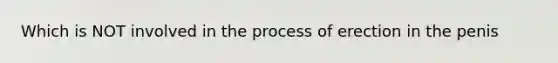 Which is NOT involved in the process of erection in the penis