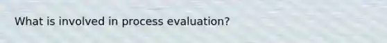 What is involved in process evaluation?