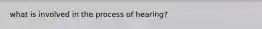 what is involved in the process of hearing?