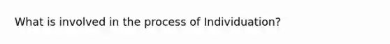 What is involved in the process of Individuation?