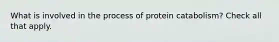 What is involved in the process of protein catabolism? Check all that apply.